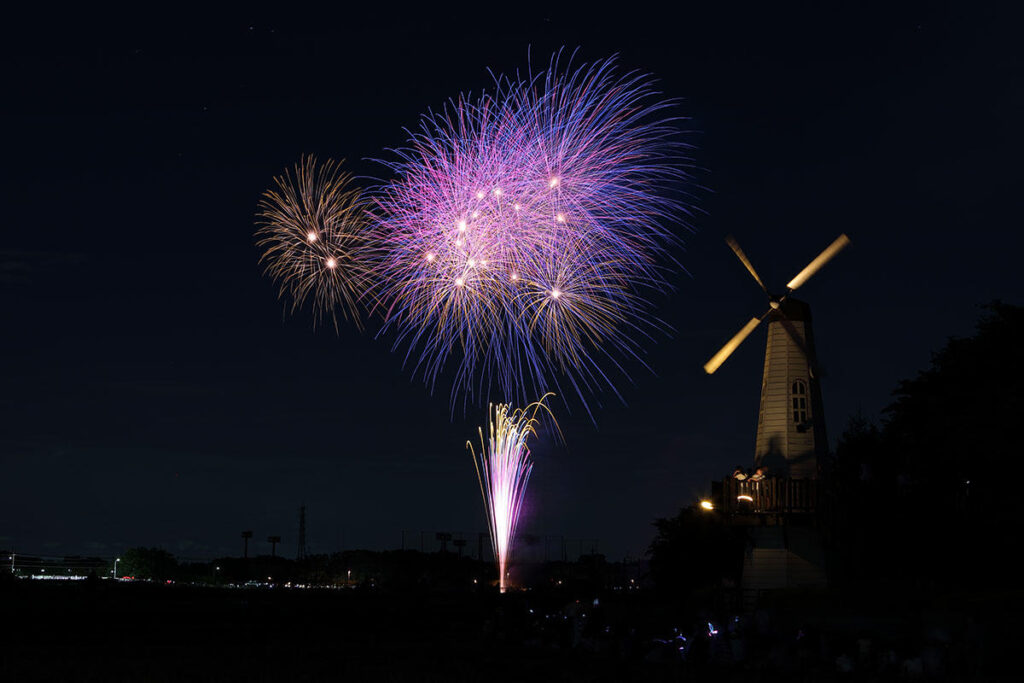 【2025】さいたま市花火大会が本日、大和田公園で開催！四千発の花火を打ち上げ | 夜景FANマガジン