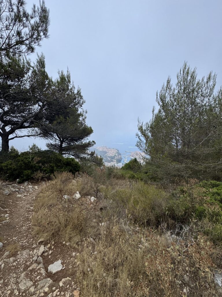 王子の宮殿でのパーティー：スワイプして😇