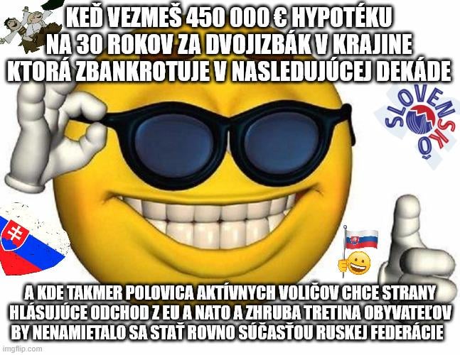 ZlovenskéEconomicWindows：