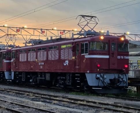 ED75形（イメージ、画像は通常色）