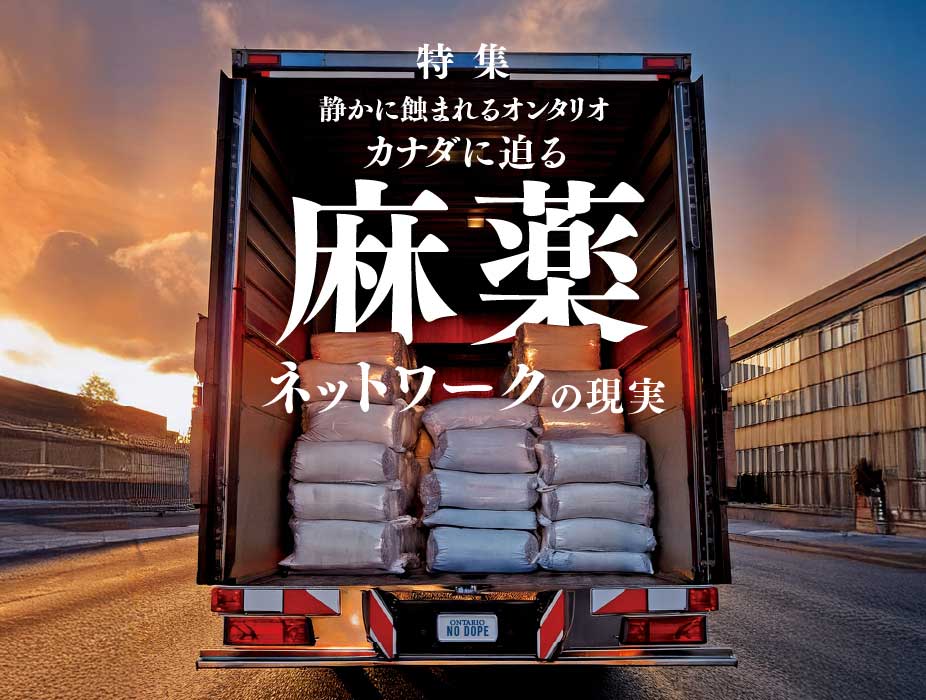 静かに蝕まれるオンタリオ「カナダに迫る麻薬ネットワークの現実」｜特集「カナダに迫る麻薬ネットワークの現実」 | TORJA