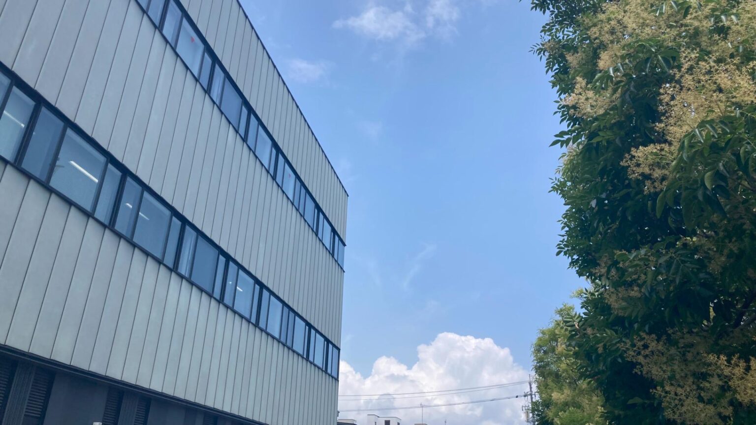 静岡県にも本格的な夏到来！7月5日(土)・6日(日)は今年初の熱中症警戒アラートの可能性が（伊藤麻衣） - エキスパート - Yahoo!ニュース - Yahoo!ニュース