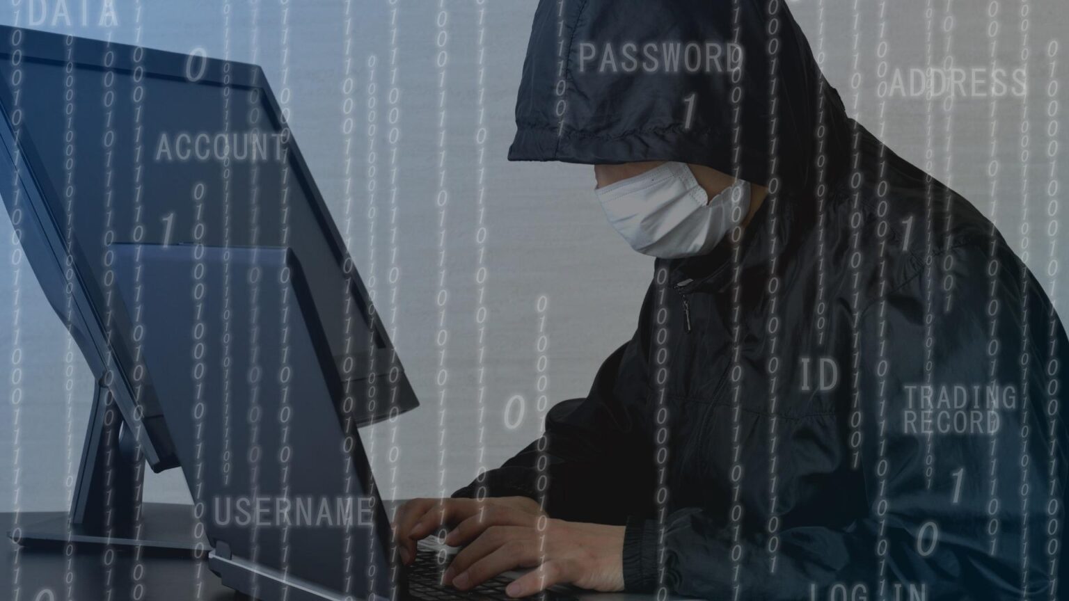 Japan News Naviの関連アカウントはロシア政府系メディアと近いのか？（鳥海不二夫） - エキスパート