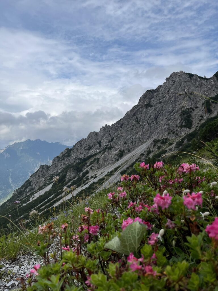 Hoi LieChtenSteiners！あなたの国への私の2日間の訪問を愛したオランダ語の10代、ここに私が撮ったいくつかの写真と私が興味を持っているものがいくつかあります…