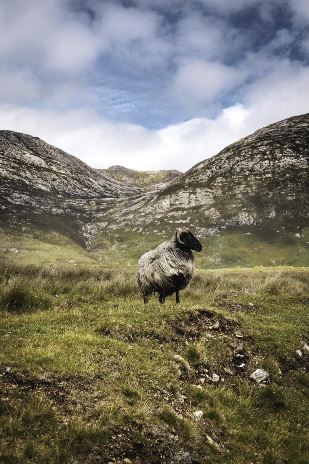 Lough Inagh、Connemara、Co。Todayからの写真！