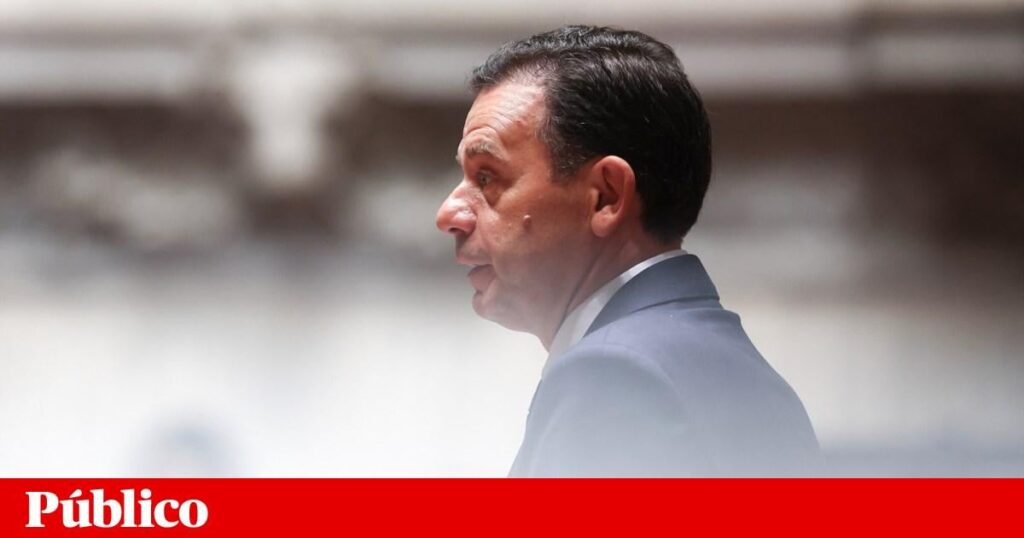 ルイス・モンテネグロは、TAPの49.9％の民営化を発表しました