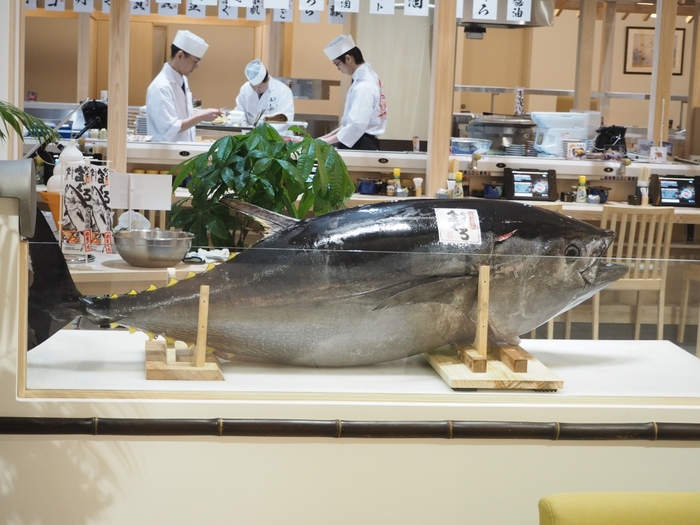 生本まぐろ解体ショー
