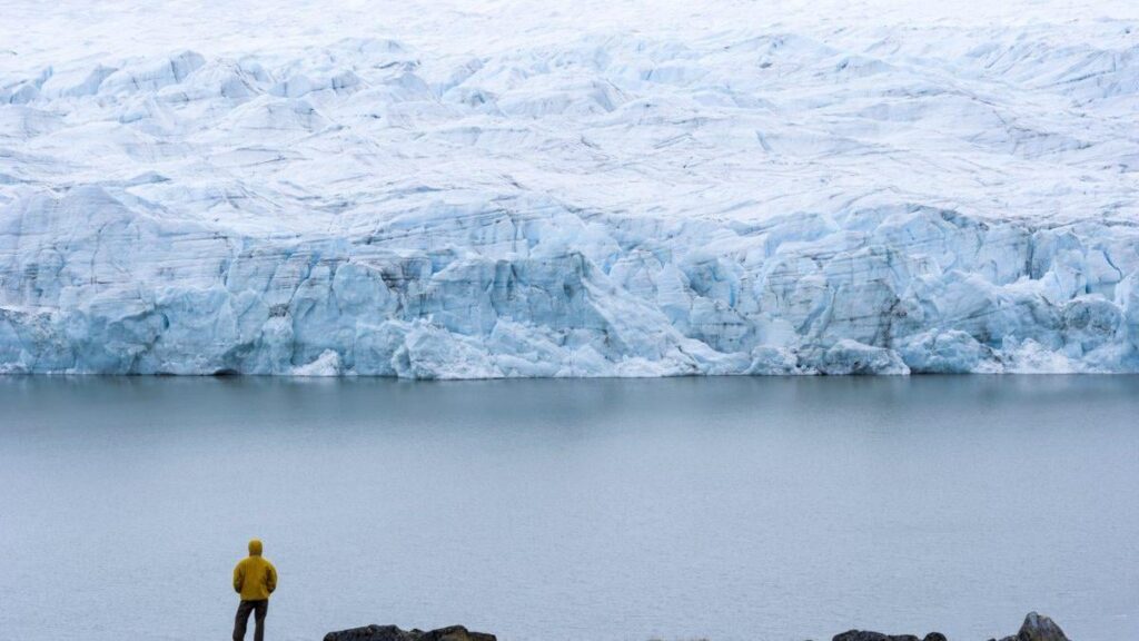 トランプは英国の研究のプラグを大気汚染と地球温暖化に引き寄せる