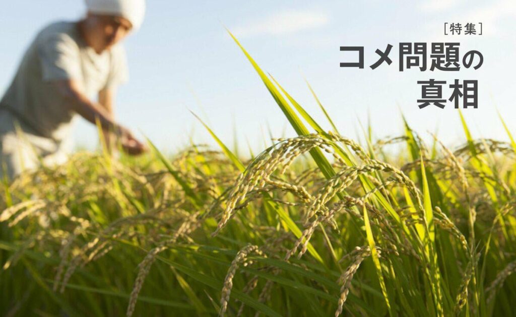 ｢米を増産せよ｣の大号令に｢今さら無理｣と農家の怒り 9割が「経営が苦しい」崖っぷちの事情 ― 現場を知らない机上の空論「新規就農は可能性ゼロ」