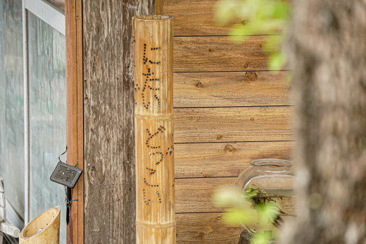 【鹿児島県大崎町】ネガティブを希望に。コミュニティビジネスが拓く限界集落の新たな可能性。／ にたいどっこい