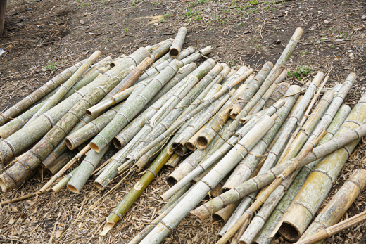 【鹿児島県大崎町】ネガティブを希望に。コミュニティビジネスが拓く限界集落の新たな可能性。／ にたいどっこい