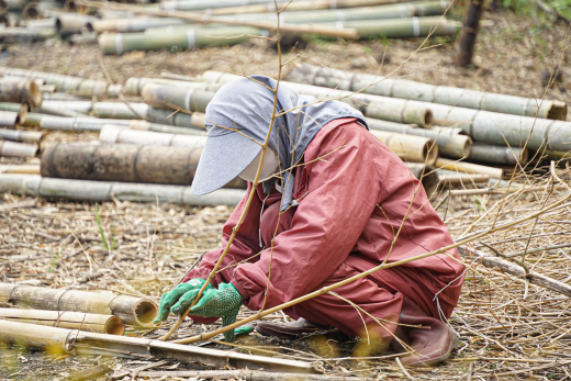 【鹿児島県大崎町】ネガティブを希望に。コミュニティビジネスが拓く限界集落の新たな可能性。／ にたいどっこい
