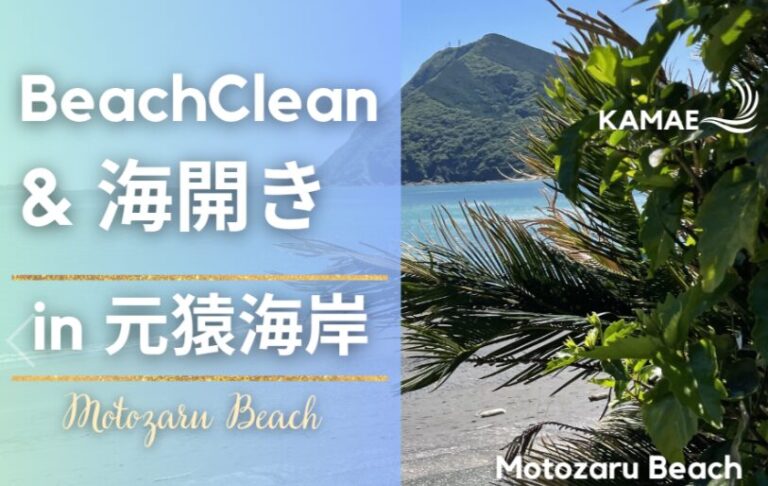 佐伯市で『Beach Clean in元猿海岸』が開催されます│LOG OITA