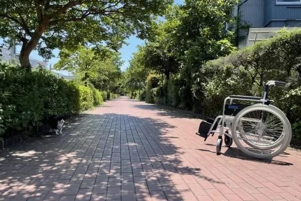 沖縄県、民生・児童委員を募集　充足率78％、全国平均を大きく下回る