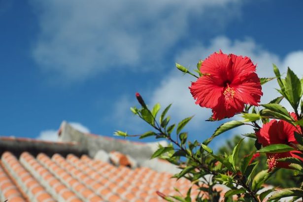 沖縄の宿泊税　「部活派遣」の免除検討　離島からの通院補助拡大も