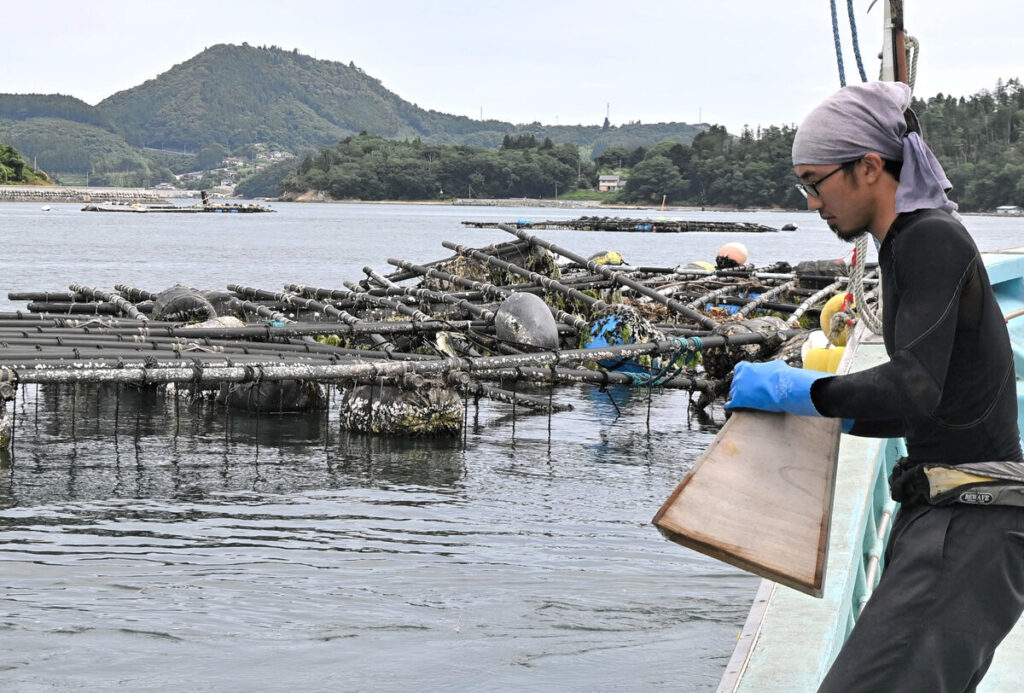 「全容の把握だけでも気が遠くなる作業だ」宮城・岩手の東北太平洋沿岸津波の復旧作業始まる - 河北新報オンライン