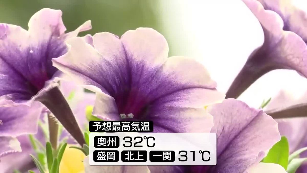 内陸中心に真夏日予想　昼過ぎから雨や雷雨の可能性も　岩手県