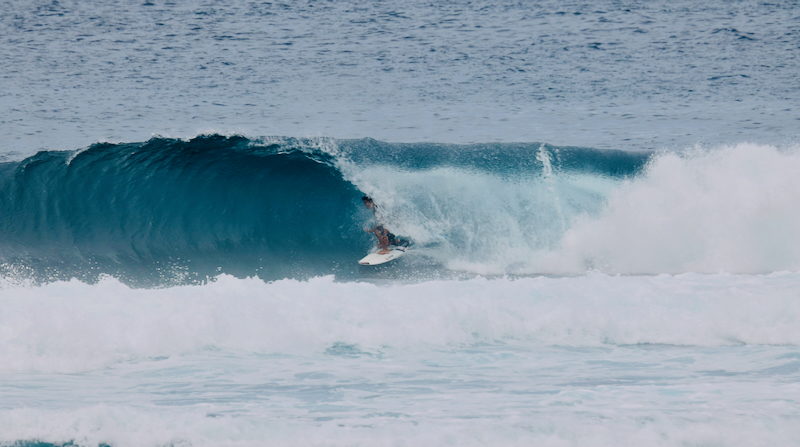 スクリーンショット 2025-08-02 8.39.58