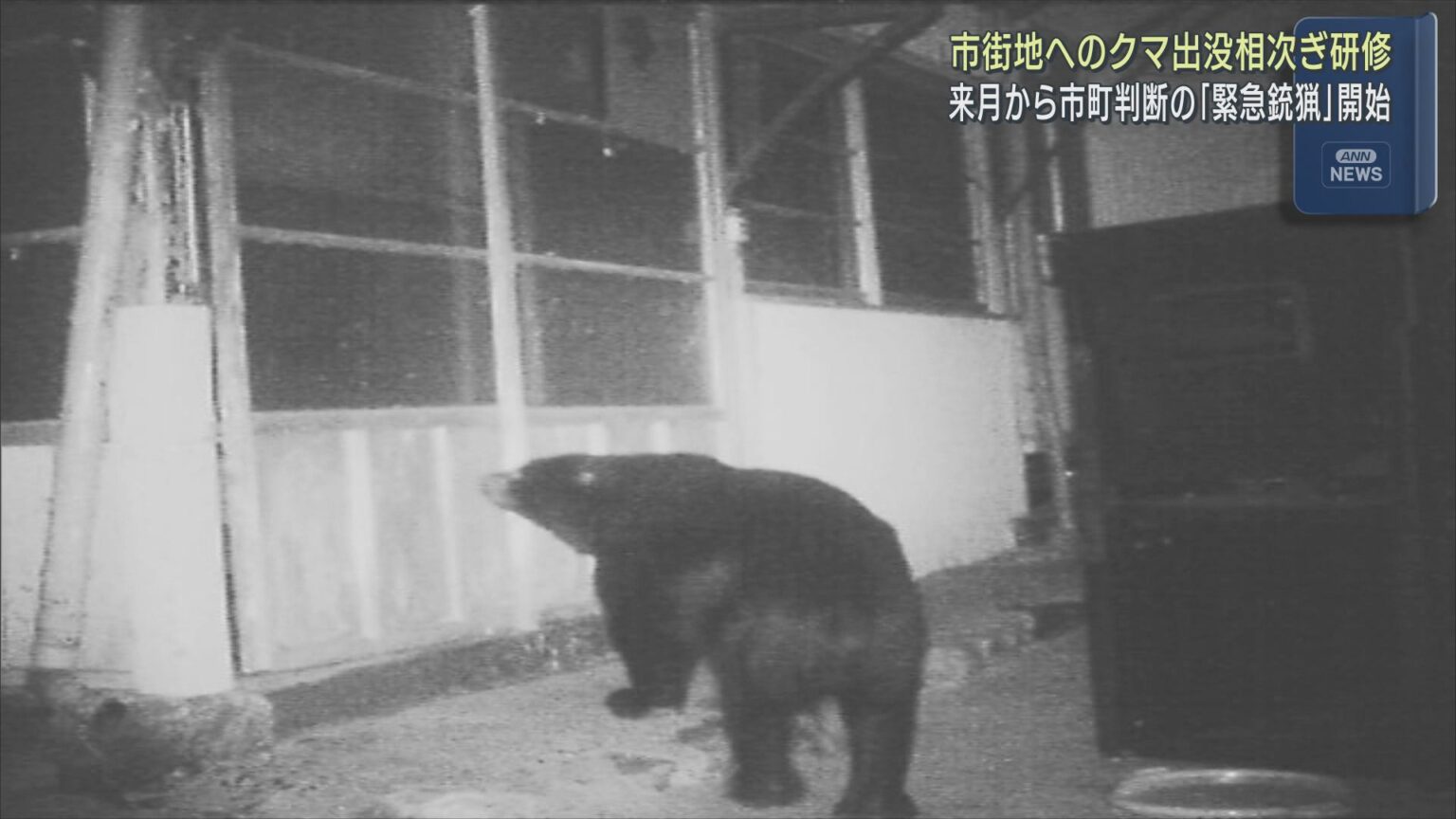クマが市街地に出没した際の対応研修を市町の職員を対象に初めて実施　９月から実施予定の「緊急銃猟」制度の手順共有も　静岡県 - LOOK 静岡朝日テレビ