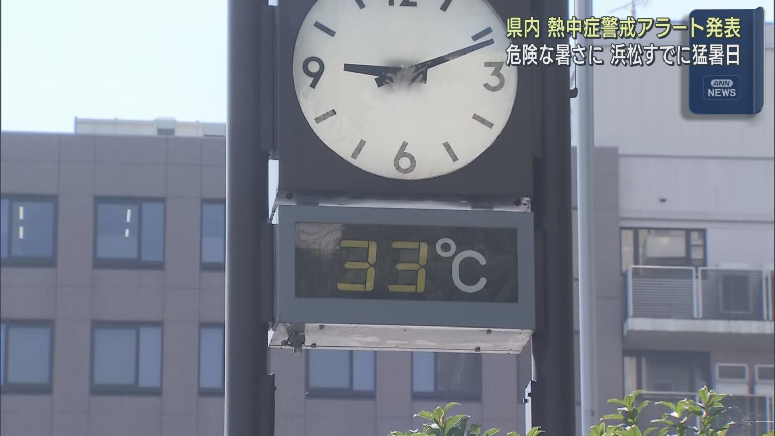 浜松は３５・９度とすでに猛暑日に　静岡県内は朝から強い日差しが照り付け２１日も熱中症警戒アラートが発表 - LOOK 静岡朝日テレビ