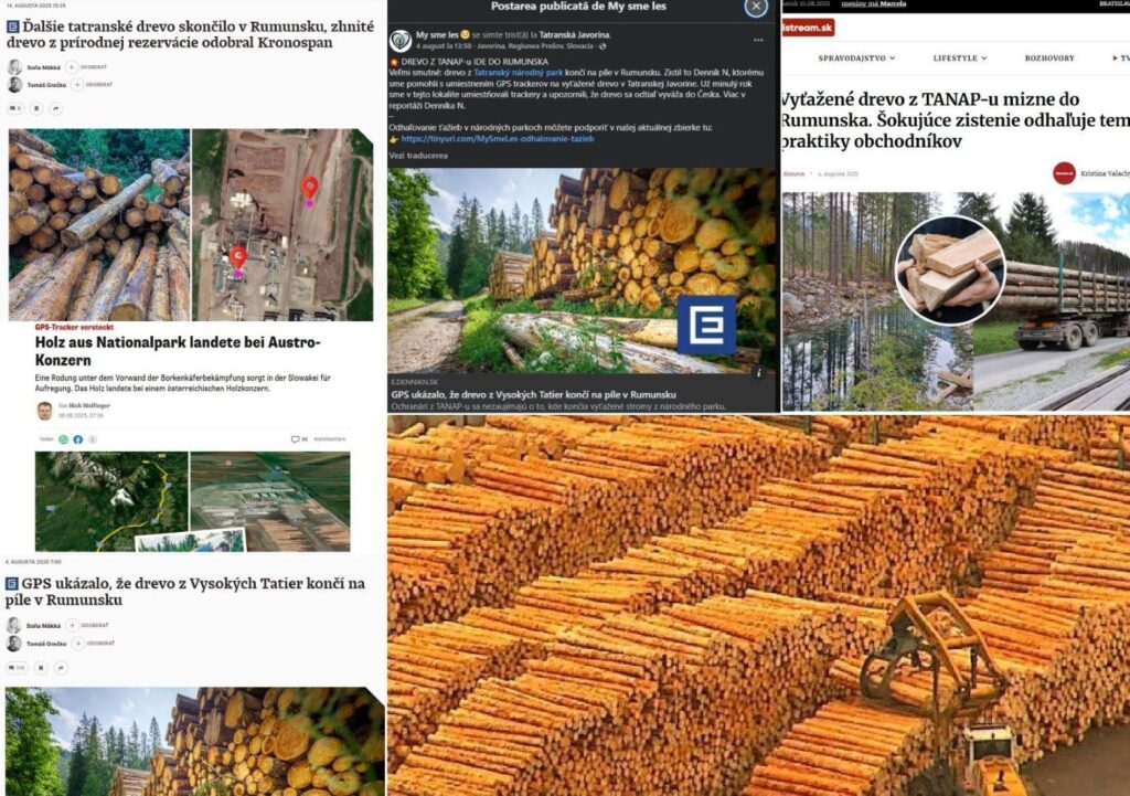 ヨーロッパのスキャンダル：ルーマニアのシュウェイファーとクロノスパン工場は、国立公園から木材を捕まえました！ - ルーマニアをきれいにします