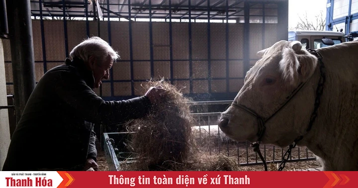 Vietnam.vn - Nền tảng quảng bá Việt Nam