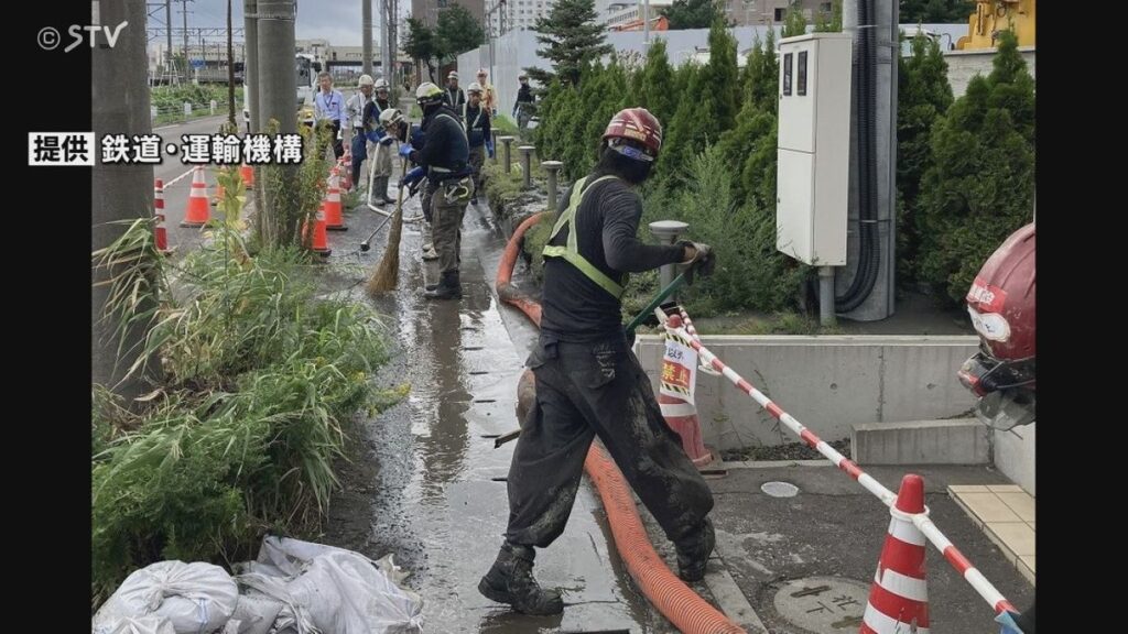 共有