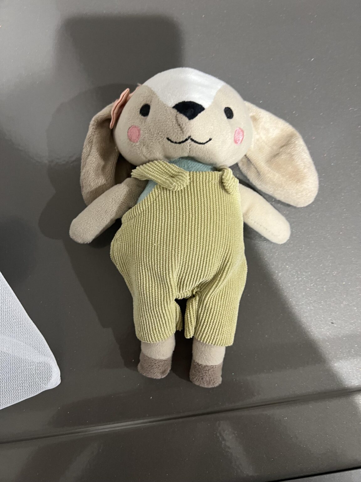 私の女の赤ちゃんのためにこのバニーを探しています！
