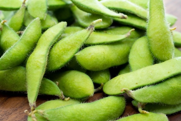 銀座・新潟情報館THE NIIGATA POP UP SHOP