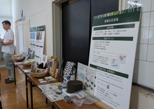 mini展示会
