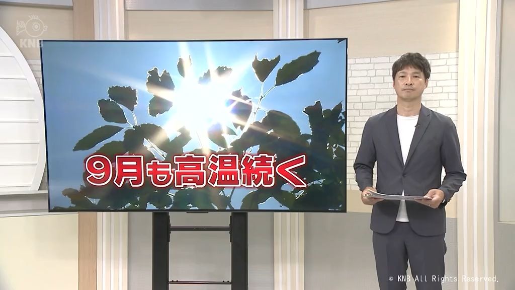 共有