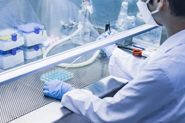 ロート製薬、再生医療事業拡大で台湾バイオ企業と提携 など｜製薬業界きょうのニュースまとめ読み（2025年8月1日） | AnswersNews