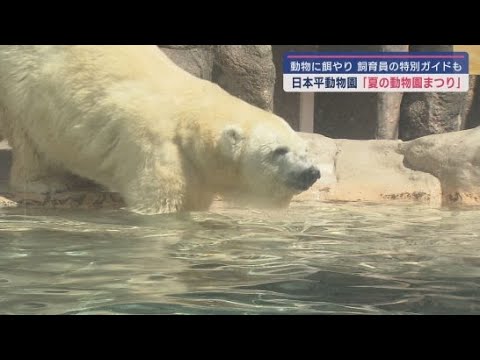 YouTube Video 動物への餌やり体験などが行われる「夏の動物園まつり」がはじまる　静岡市の日本平動物園
