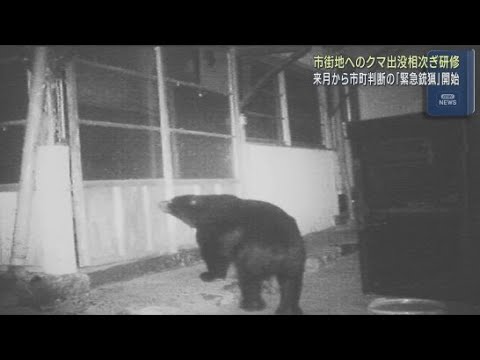 YouTube Video クマが市街地に出没した際の対応研修を市町の職員を対象に初めて実施　９月から実施予定の「緊急銃猟」制度の手順共有も　静岡県