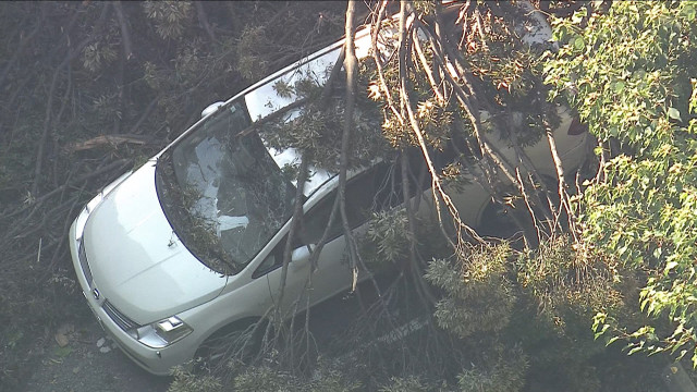 老人ホームに隣接する山で倒木　車３台が下敷きに…けが人なし　奈良・三郷町