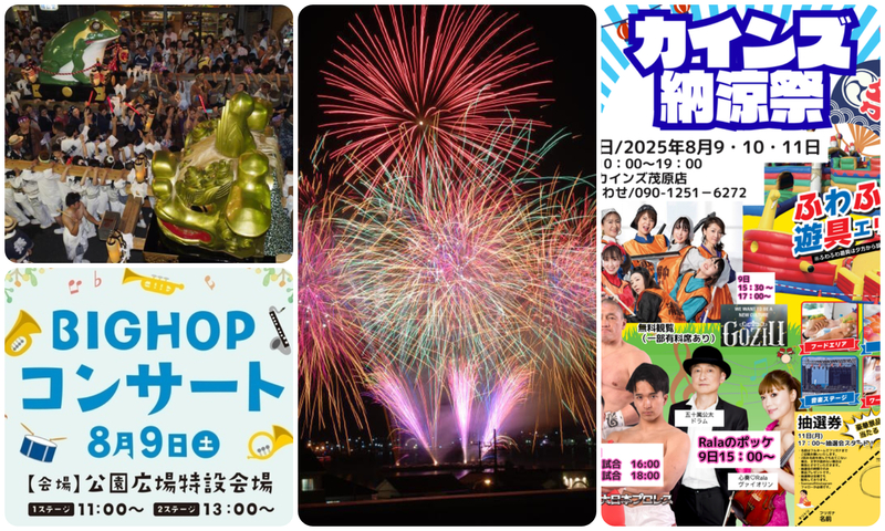 第36回 野田みこしパレード│（C）野田みこしパレード実行委員会