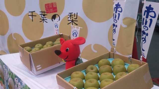 千葉なし出陣式　県知事が大田市場でPR