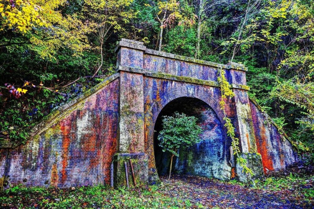 明治の煉瓦のトンネルを「森のビアホール」に！ 愛知県春日井市の愛岐トンネル群で次々生まれるユニークなアイデア(1/3) | JBpress (ジェイビープレス)