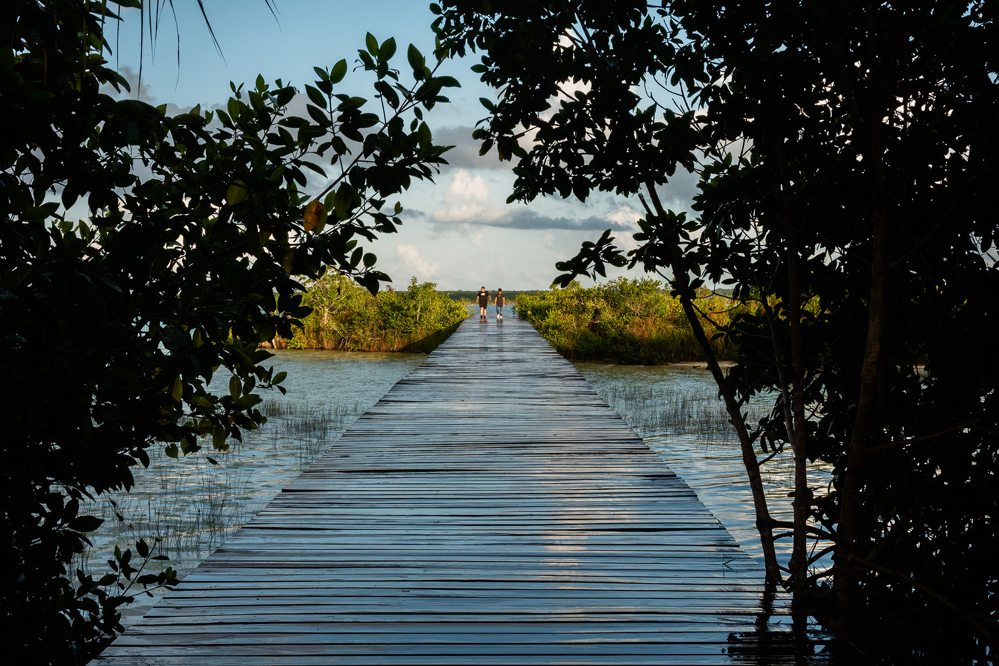 〈エコパーク・バカラル（Ecoparque Bacalar）〉設計：コレクティボc733（Colectivo c733）