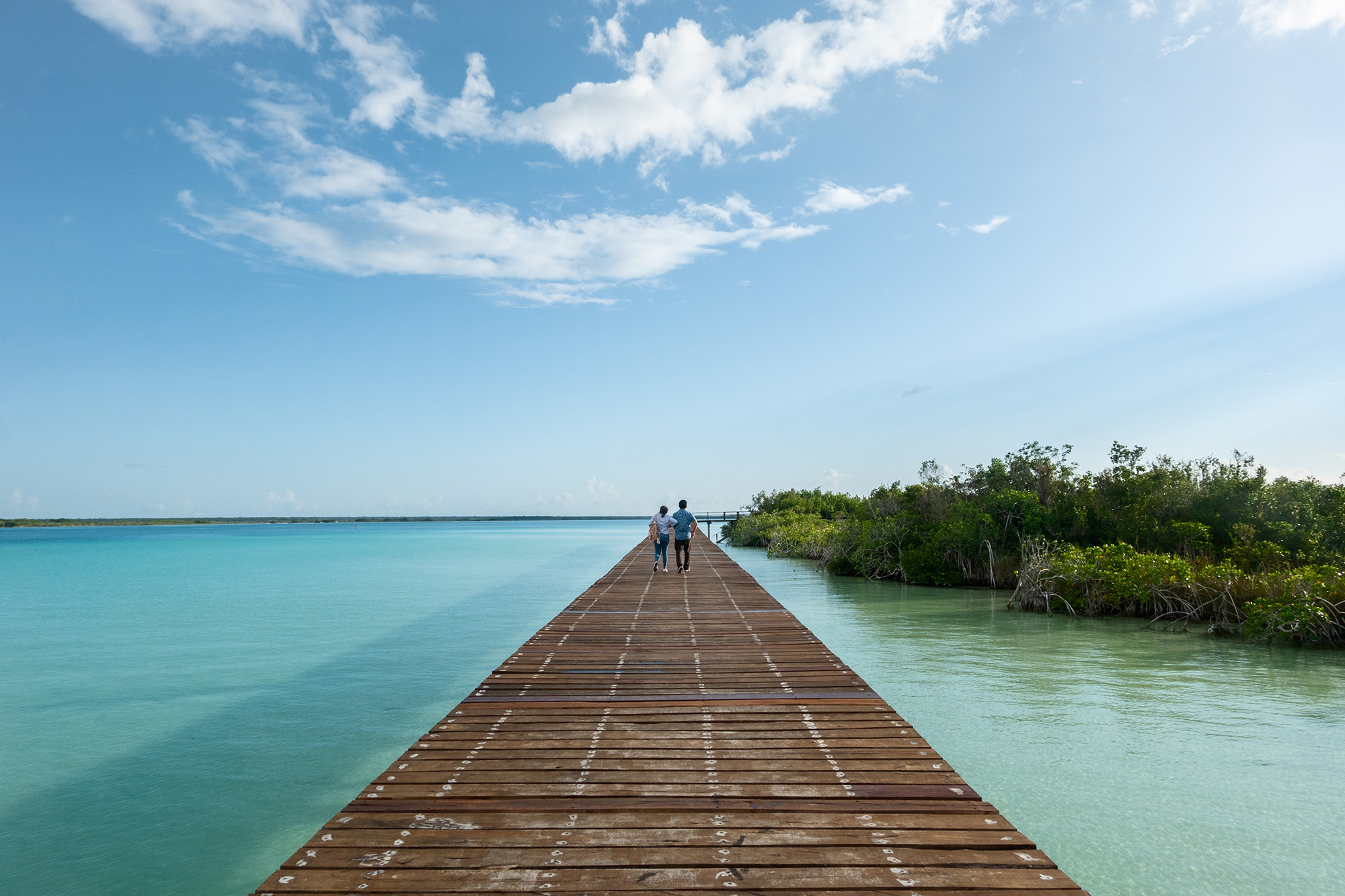 〈エコパーク・バカラル（Ecoparque Bacalar）〉設計：コレクティボc733（Colectivo c733）