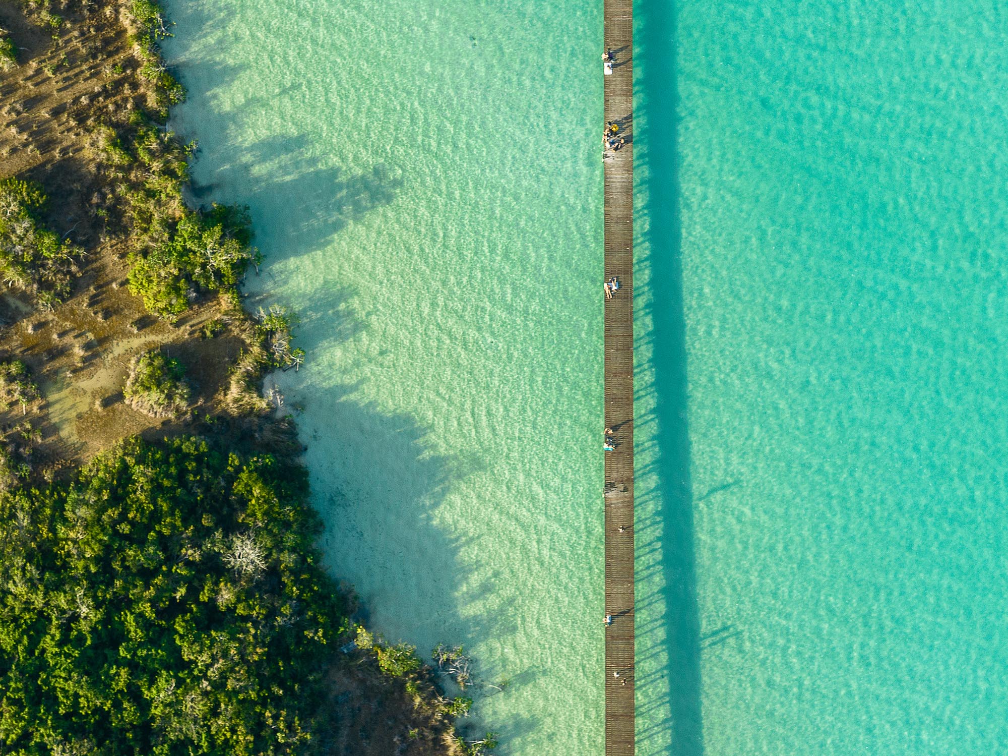 〈エコパーク・バカラル（Ecoparque Bacalar）〉設計：コレクティボc733（Colectivo c733）