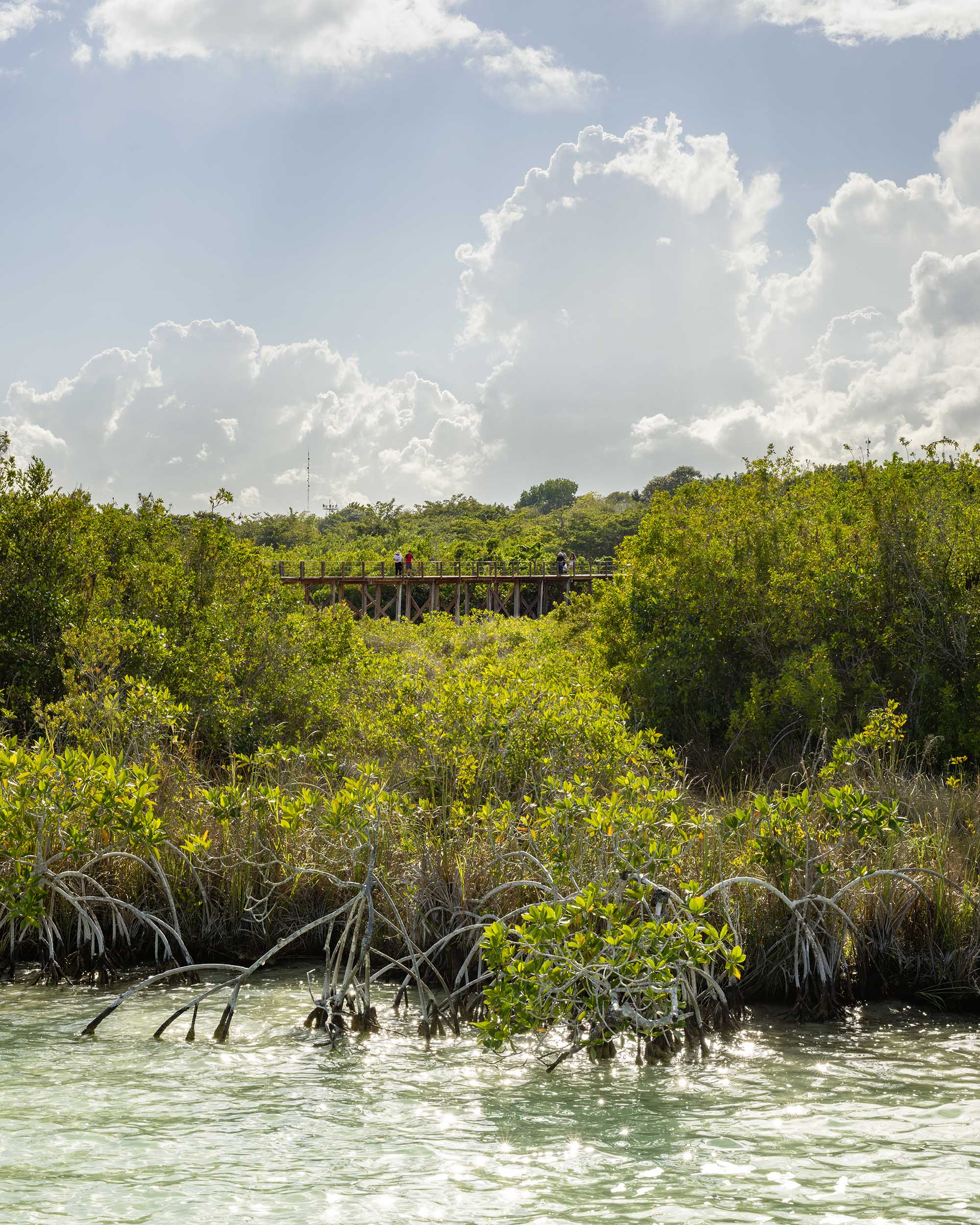〈エコパーク・バカラル（Ecoparque Bacalar）〉設計：コレクティボc733（Colectivo c733）