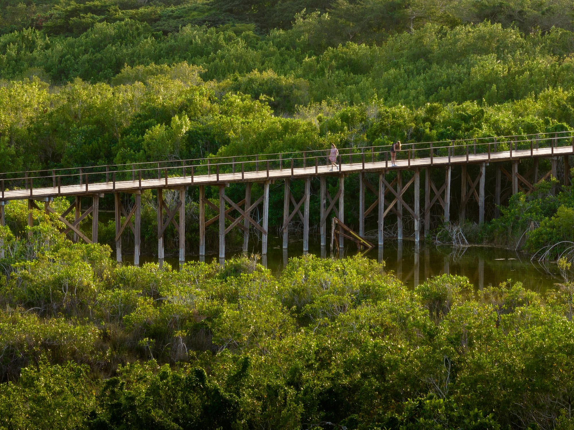 〈エコパーク・バカラル（Ecoparque Bacalar）〉設計：コレクティボc733（Colectivo c733）