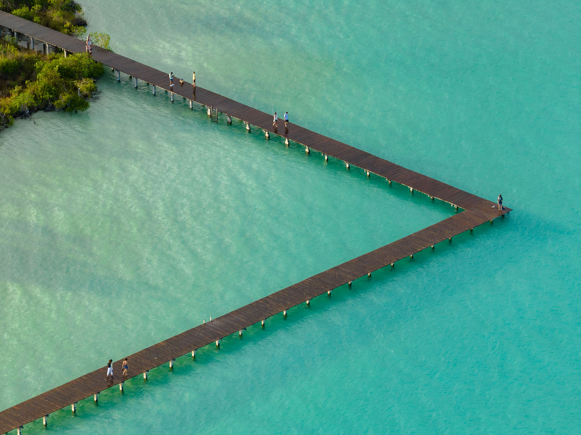 〈エコパーク・バカラル（Ecoparque Bacalar）〉設計：コレクティボc733（Colectivo c733）
