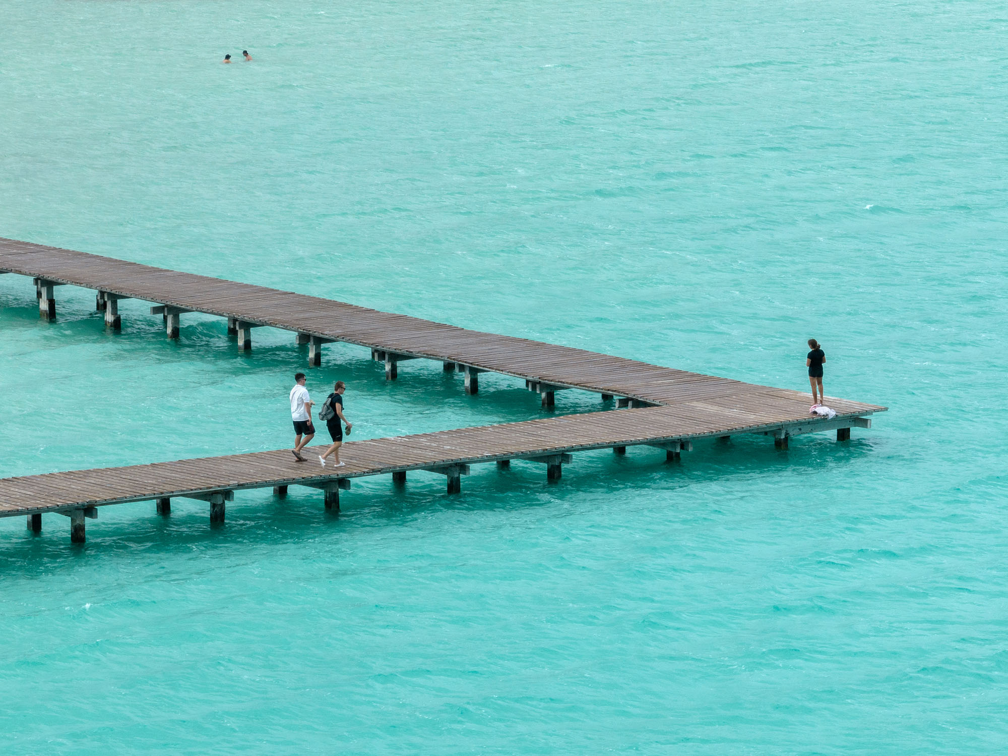 〈エコパーク・バカラル（Ecoparque Bacalar）〉設計：コレクティボc733（Colectivo c733）