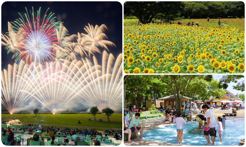 第70回とりで利根川大花火