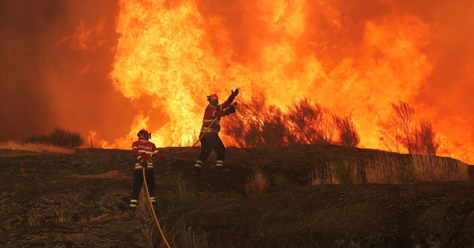 南欧で山火事が猛威、スペインは熱波10日目　住民や観光客避難 | ロイター