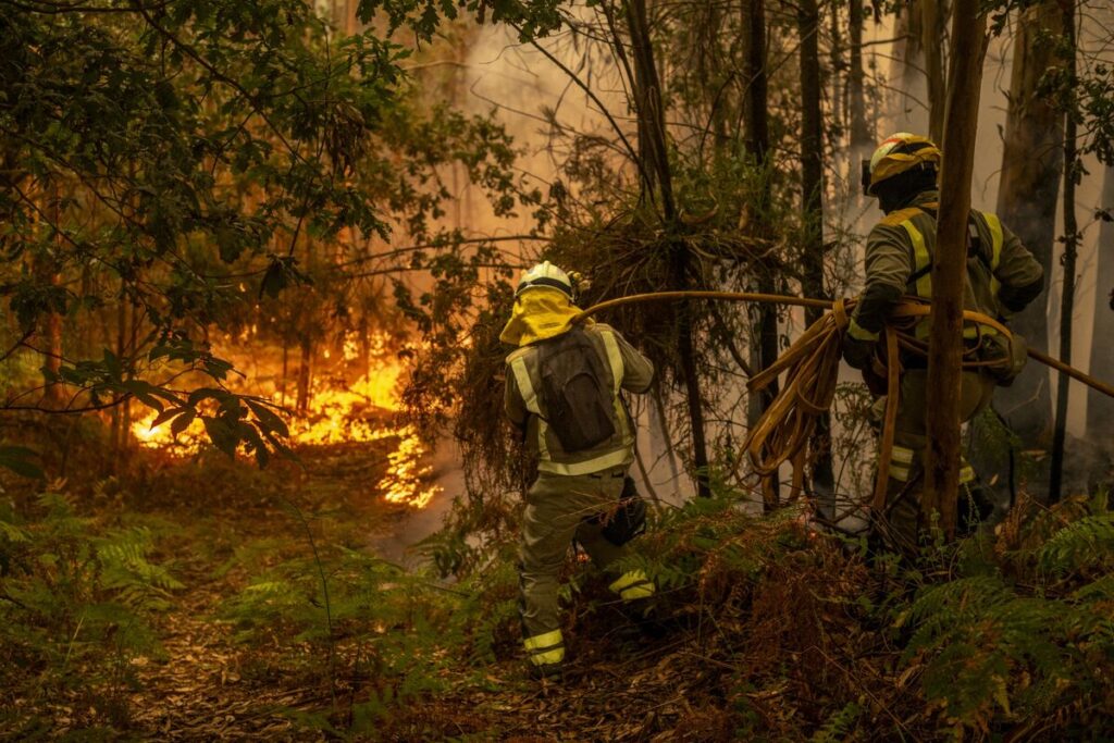 スペイン山火事で「全国的な協定」呼び掛け、党派超えて対応を－首相 - Bloomberg
