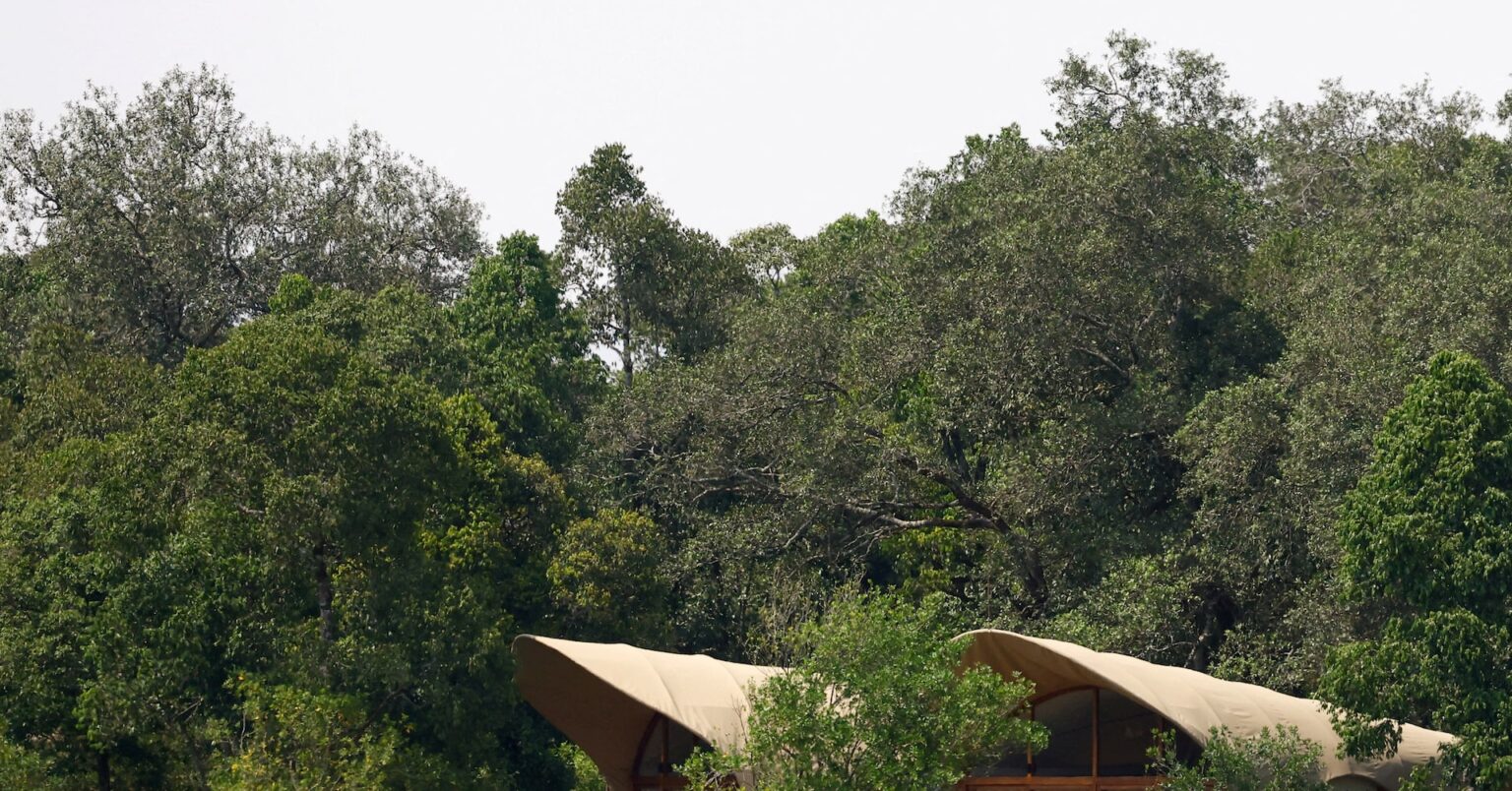 アフリカ高級観光、地域住民に利益もたらさない＝英大学研究 | ロイター