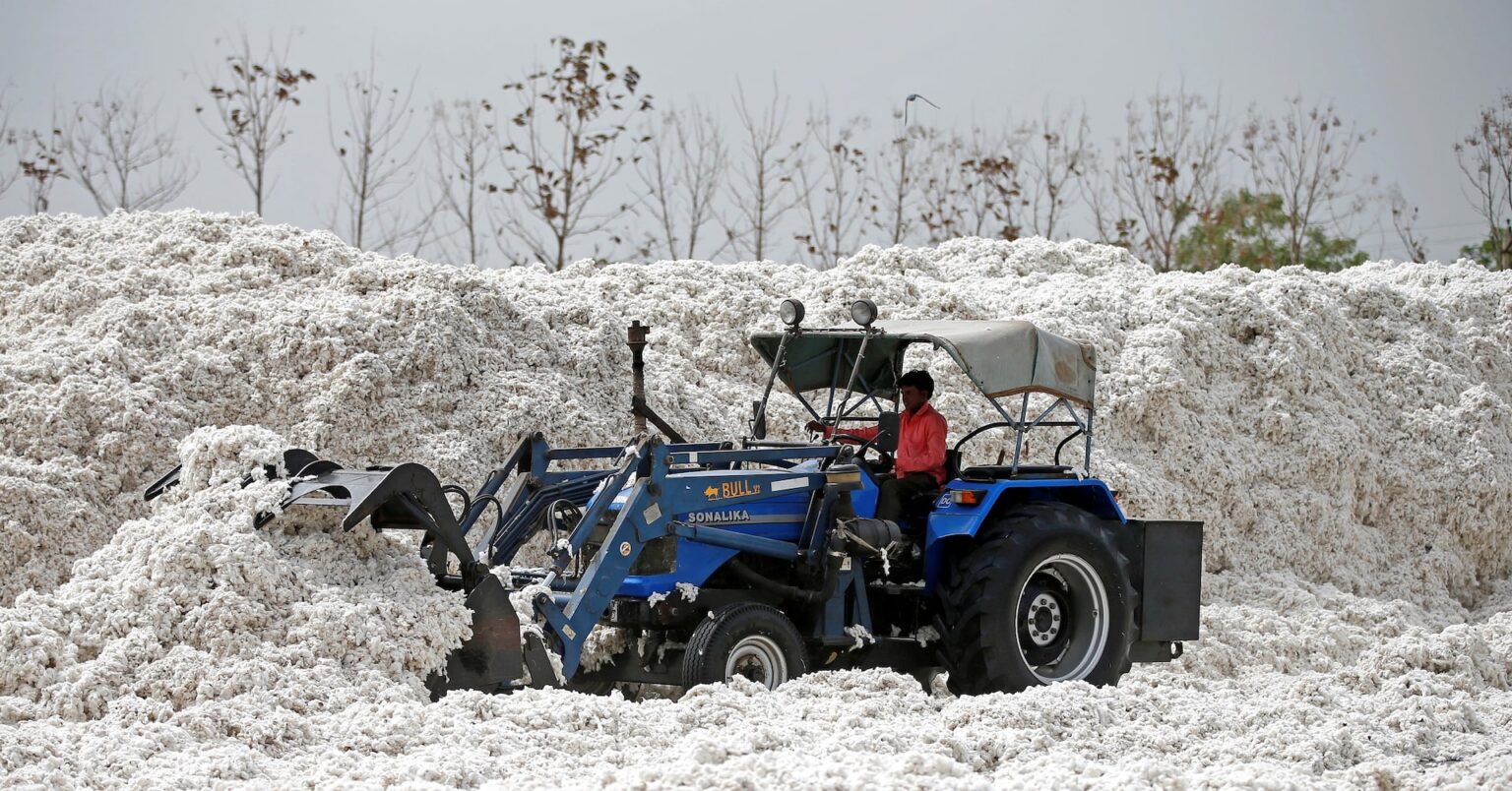 インド、綿花の輸入関税を9月末まで一時停止 | ロイター